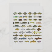 北米淡水魚グループキャンバスプリント (正面/裏面)