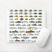 北米淡水魚グループ マウスパッド (マウス)