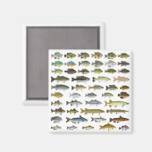 北米淡水魚グループ マグネット (正面/裏面)