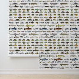 北米淡水魚グループ 壁紙