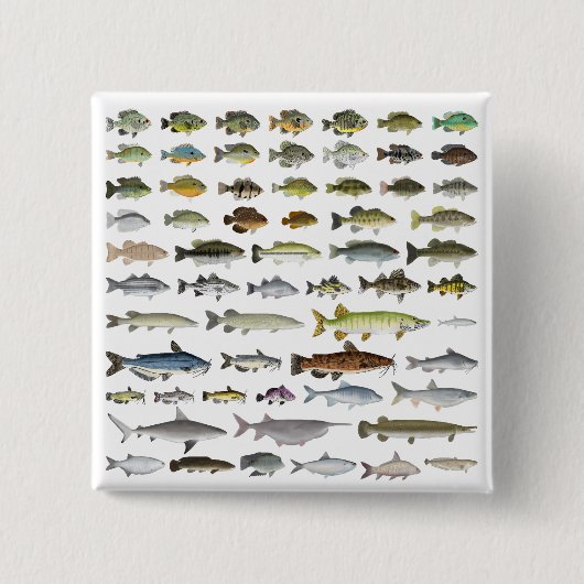 北米淡水魚グループ 缶バッジ (正面)