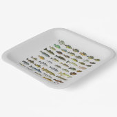 北米淡水魚群 ペーパープレート (傾斜あり)