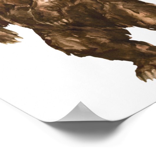 北米産の動物 |教育教室 ポスター (角)