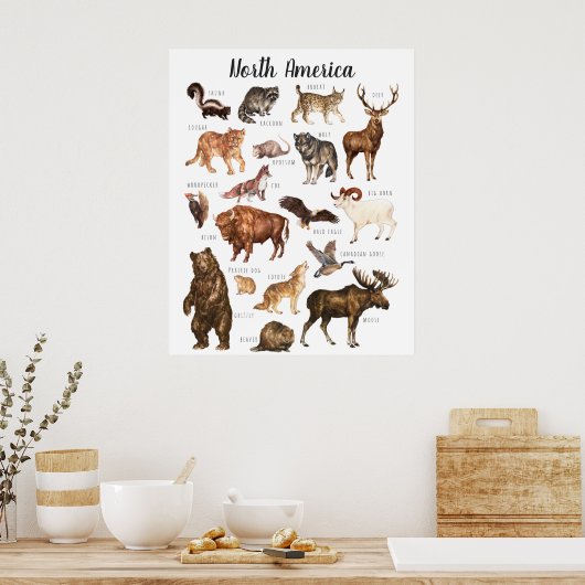 北米産の動物 |教育教室 ポスター (キッチン)