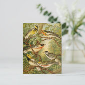 北米産の鳥 | Anton Goeringはがき ポストカード (スタンド正面)