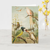 北米産の鳥 | Anton Goering カード (黄色い花)