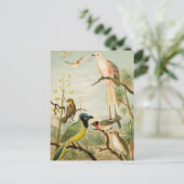 北米産の鳥 | Anton Goering ポストカード (スタンド正面)