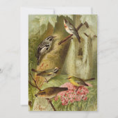 北米産の鳥 | Gustav Mtzelカード (正面)