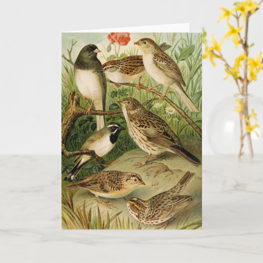 北米産の鳥 | Gustav Mtzel カード (黄色い花)