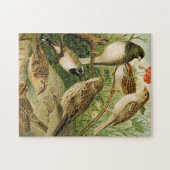 北米産の鳥 | Gustav Mtzel ジグソーパズル (横)
