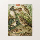 北米産の鳥 | Gustav Mtzel ジグソーパズル (縦)