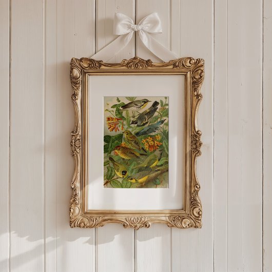 北米産の鳥 | Gustav Mtzel ポスター