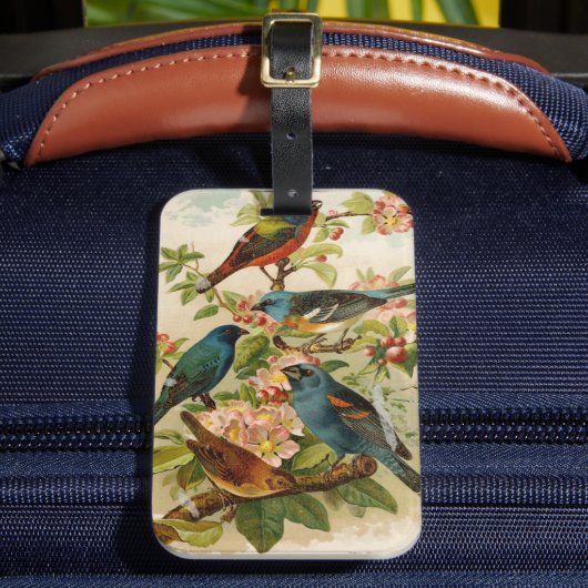 北米産の鳥 | Gustav Mtzel ラゲッジタグ (正面インサイチュ2)