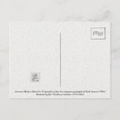 北米産アメリカブラックまたはシルバーキツネ ポストカード (裏面)