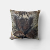 北米産ヤマアラシ装飾用クッション クッション (正面)