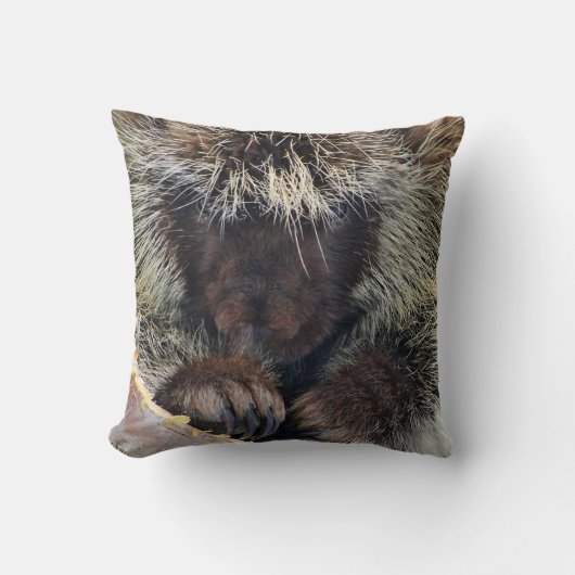 北米産ヤマアラシ装飾用クッション クッション (正面)