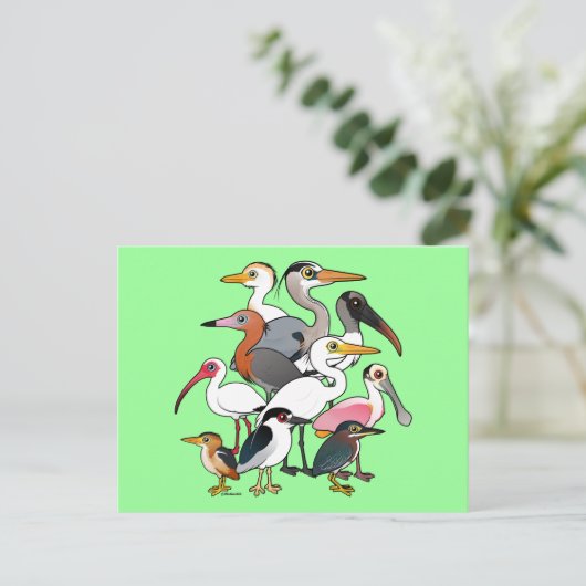 北米産ワダー ポストカード (スタンド正面)