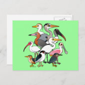 北米産ワダー ポストカード (正面/裏面)