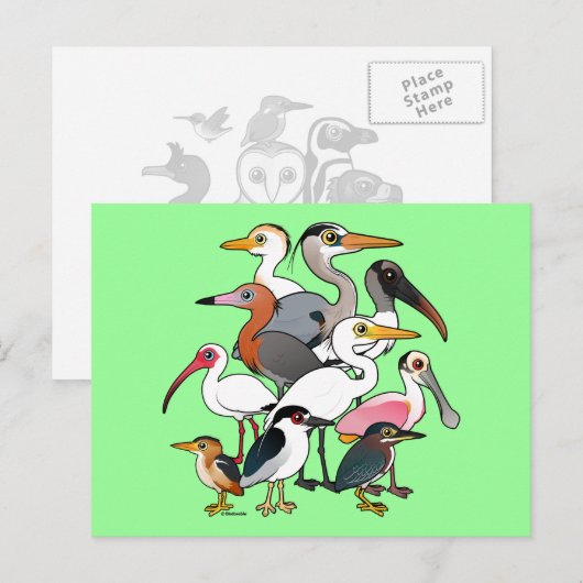 北米産ワダー ポストカード (正面/裏面)