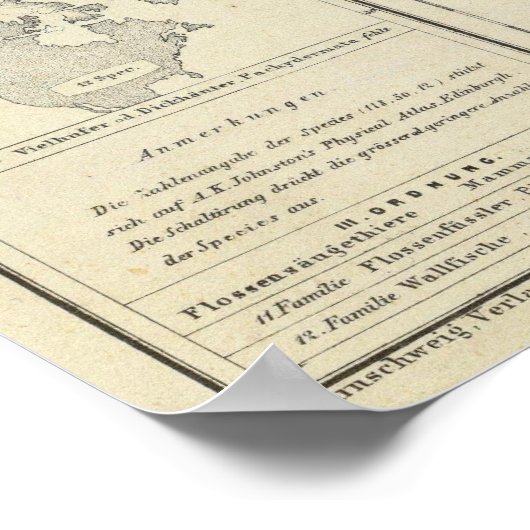 北米33 ポスター (角)