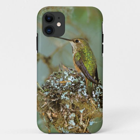 北米,アメリカ,アラスカ州。アカハチドリ Case-Mate iPhoneケース (裏面)