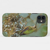 北米,アメリカ,アラスカ州。アカハチドリ Case-Mate iPhoneケース (裏面(横))