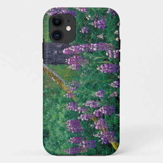 北米, アメリカ, アラスカ州, アリューシャン列島, ウナラスカ島 Case-Mate iPhoneケース (裏面)