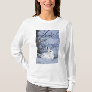 北米,アメリカ,アラスカ州. アークティック ナショナル ウイルドライフ Tシャツ