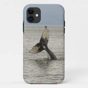 北米, アメリカ, アラスカ州, インサイド・パッセージ。ザトウクジラ iPhone 11 ケース