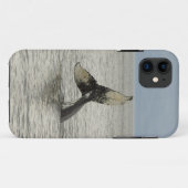 北米, アメリカ, アラスカ州, インサイド・パッセージ。ザトウクジラ Case-Mate iPhoneケース (裏面(横))