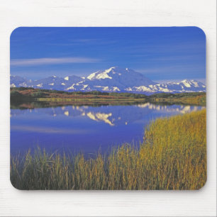 北米,アメリカ,アラスカ州,デナリ国立公園, マウスパッド