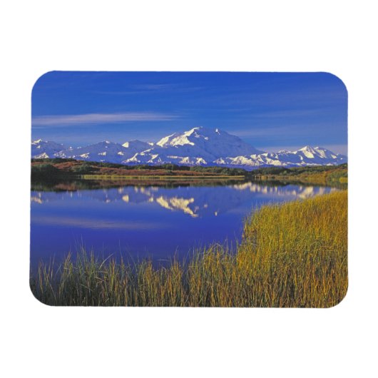 北米,アメリカ,アラスカ州,デナリ国立公園, マグネット (横)