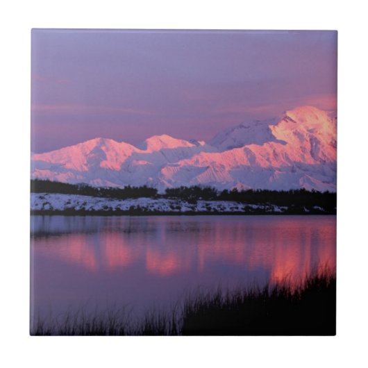 北米, アメリカ, アラスカ州, デナリ国立公園, マッキンリー山 タイル (正面)