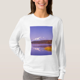 北米,アメリカ,アラスカ州,デナリ国立公園,ワンダーレイク,山 Tシャツ