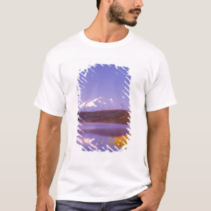 北米,アメリカ,アラスカ州,デナリ国立公園,ワンダーレイク,山 Tシャツ