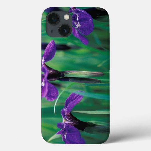 北米, アメリカ, アラスカ州, ナイト島, シャクナゲ属 Case-Mate iPhoneケース (裏面)