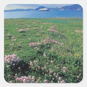 北米,アメリカ,アラスカ,アリューシャン列島,風景 スクエアシール