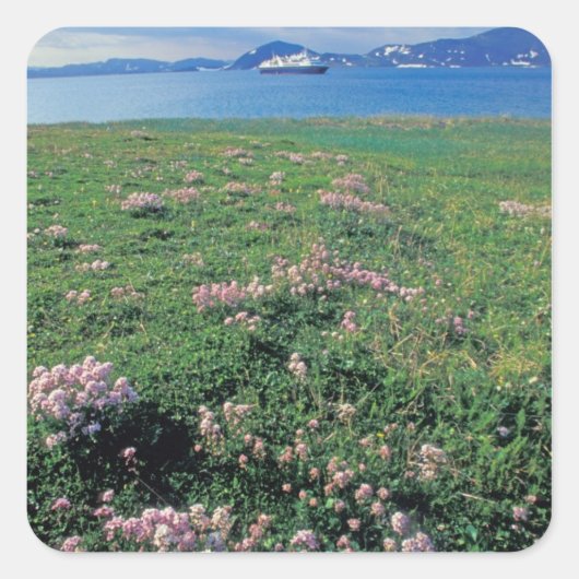 北米,アメリカ,アラスカ,アリューシャン列島,風景 スクエアシール (正面)