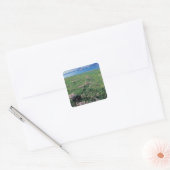 北米,アメリカ,アラスカ,アリューシャン列島,風景 スクエアシール (封筒)