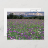 北米, アメリカ, アラスカ, アンカレッジ, エクルナ ポストカード (正面/裏面)