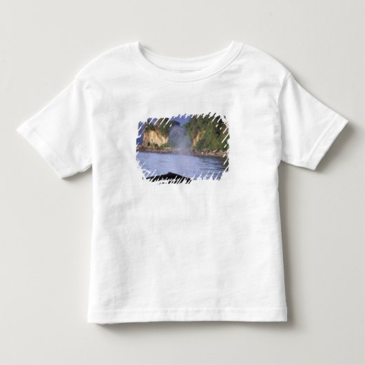 北米,アメリカ,アラスカ,インサイド・パッセージ トドラーTシャツ (正面)