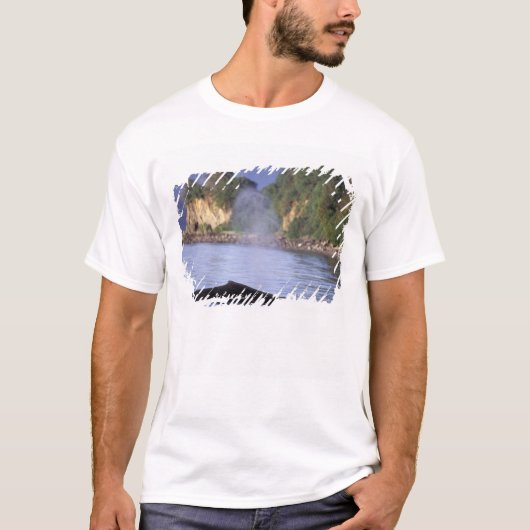 北米,アメリカ,アラスカ,インサイド・パッセージ Tシャツ (正面)
