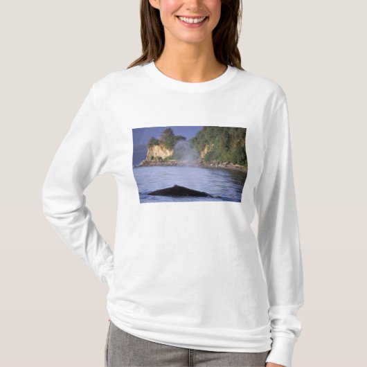 北米,アメリカ,アラスカ,インサイド・パッセージ Tシャツ (正面)