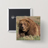 北米、アメリカ、アラスカ、コディアック島 缶バッジ (正面&裏面)