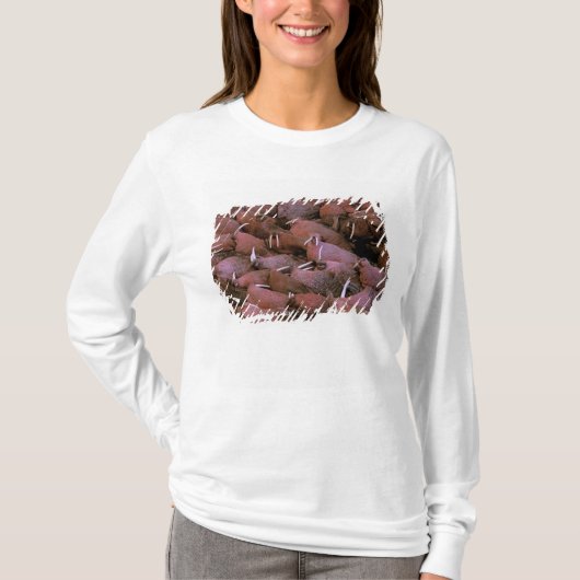北米,アメリカ,アラスカ,ユーコン・デルタ国立 Tシャツ (正面)
