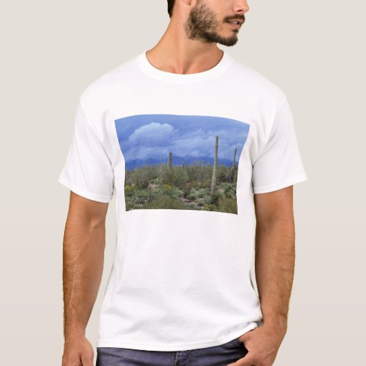 北米,アメリカ,アリゾナ州,サワーロ国立記念公園, Tシャツ (正面)