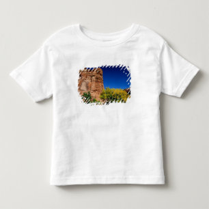 北米,アメリカ,アリゾナ州,ナバホ・インディアン 3 トドラーTシャツ