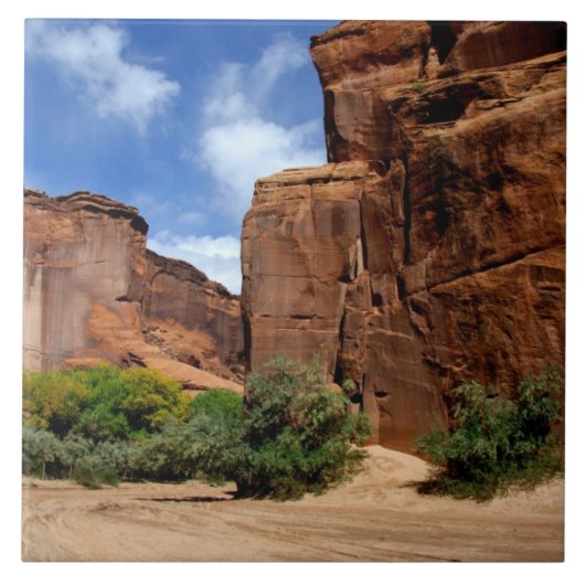 北米,アメリカ,アリゾナ州,ナバホ・インディアン 5 タイル (正面)