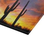 北米、アメリカ、アリゾナ、ソノラン砂漠。 カッティングボード (角)