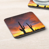 北米、アメリカ、アリゾナ、ソノラン砂漠。 コースター (左側)